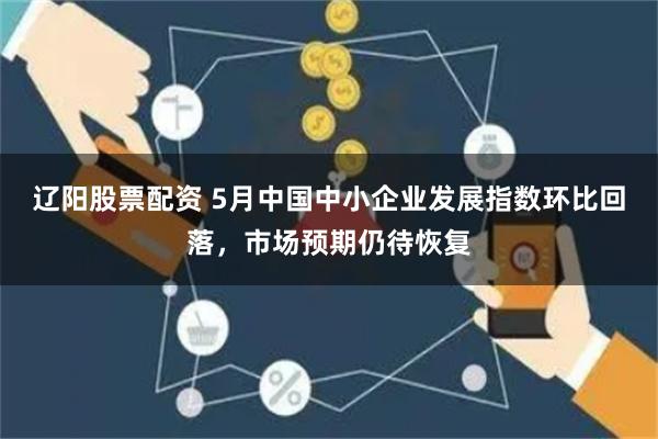 辽阳股票配资 5月中国中小企业发展指数环比回落，市场预期仍待恢复