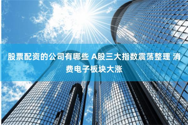 股票配资的公司有哪些 A股三大指数震荡整理 消费电子板块大涨
