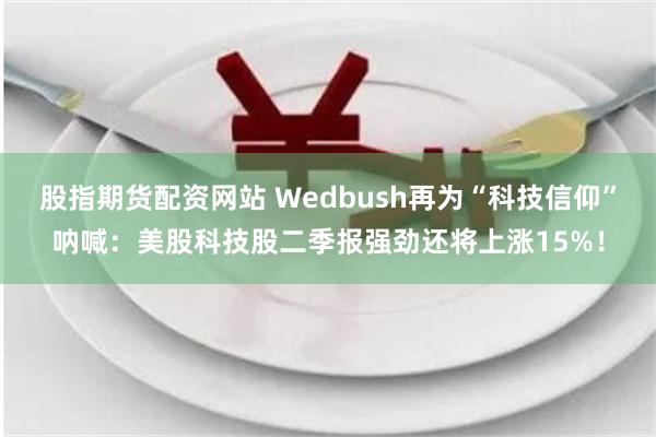 股指期货配资网站 Wedbush再为“科技信仰”呐喊：美股科技股二季报强劲还将上涨15%！