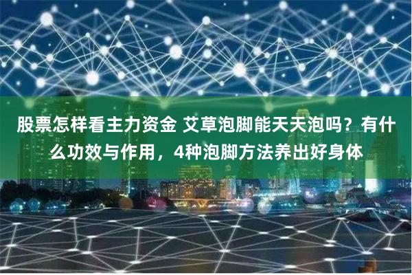 股票怎样看主力资金 艾草泡脚能天天泡吗？有什么功效与作用，4种泡脚方法养出好身体