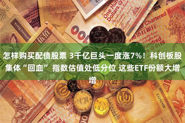 怎样购买配债股票 3千亿巨头一度涨7%！科创板股集体“回血” 指数估值处低分位 这些ETF份额大增