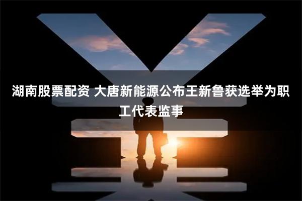 湖南股票配资 大唐新能源公布王新鲁获选举为职工代表监事